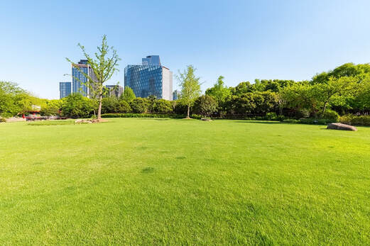 Commercial property with a large lawn and trees and bushes.